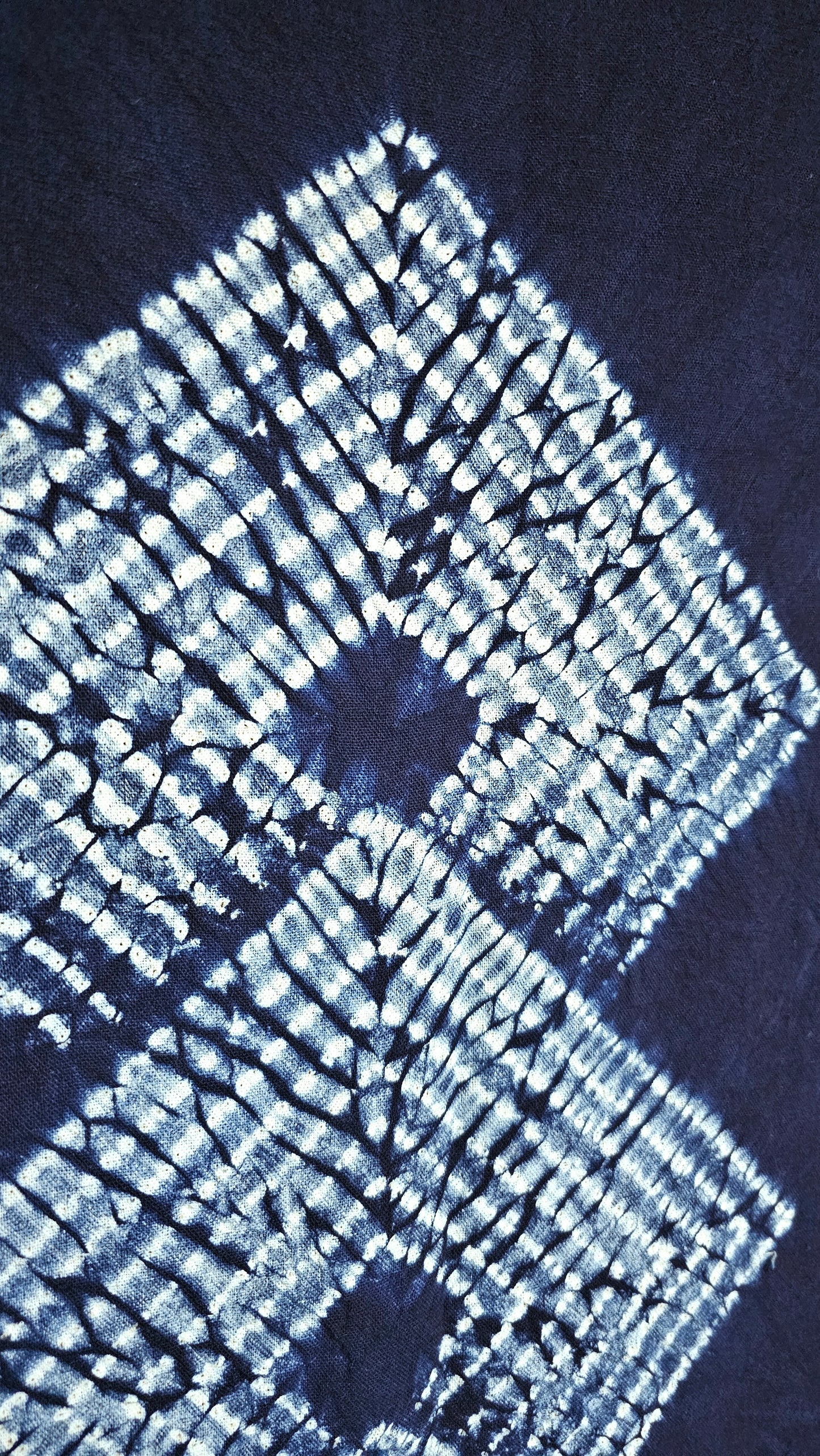 Real Indigo Noren