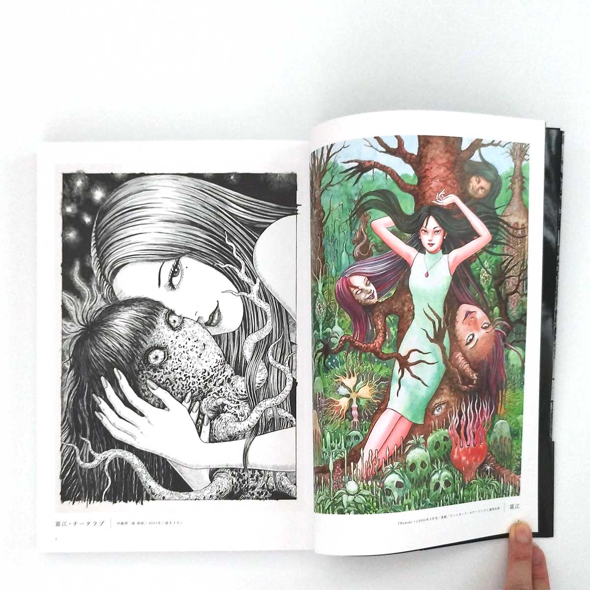 Junji Ito “誘惑“ Art Book